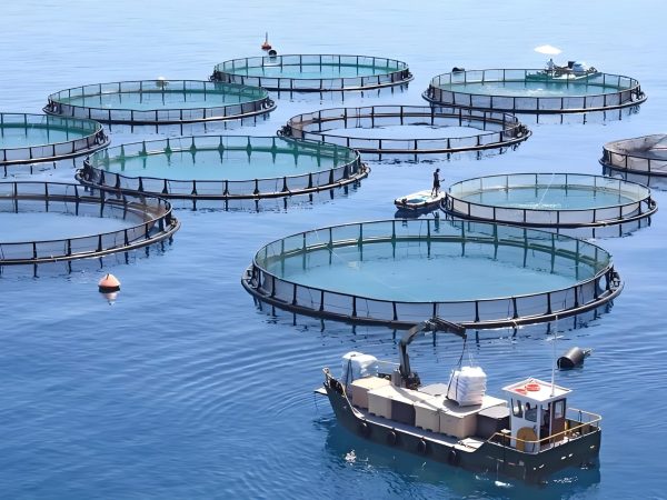 anti-corrosion-winch-aquaculture-net-handling